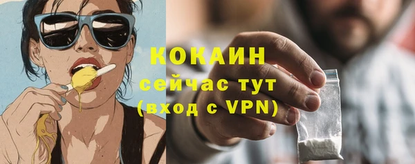 гидра Новозыбков