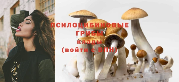 гидра Новозыбков