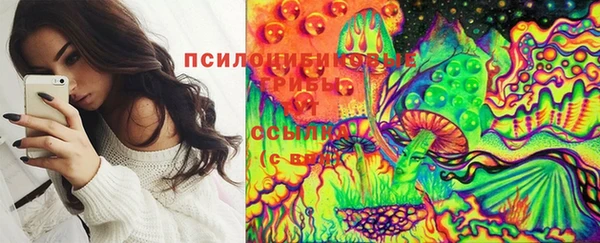гидра Новозыбков