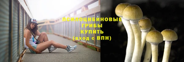 кокаин Новодвинск