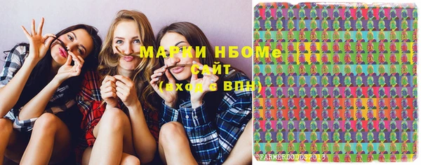 гидра Новозыбков