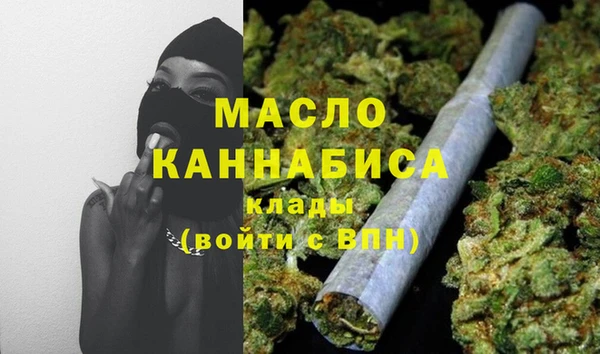 гидра Новозыбков