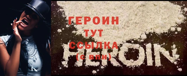 гидра Новозыбков