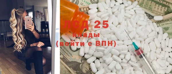 гидра Новозыбков