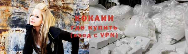 гидра Новозыбков